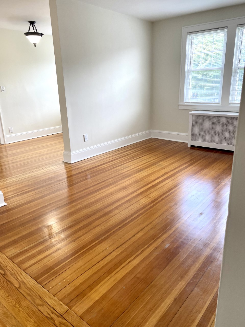 99 Theodore Fremd Avenue